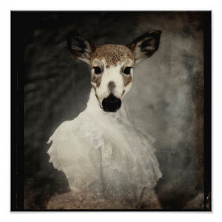 Impression Photo Piebald Deer En Robe