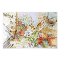 Pierre le lapin qui tombe dans le hangar du jardin