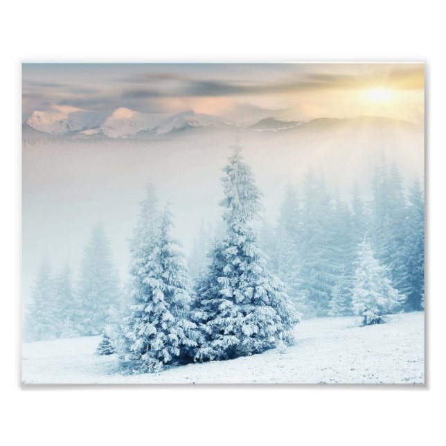 Impression Photo Pin Arbre En Neige (Devant)