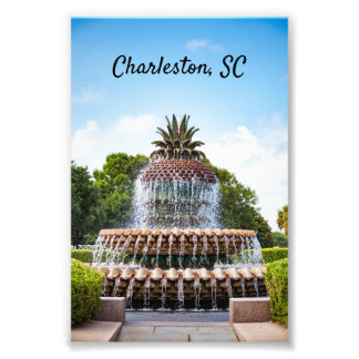 Impression Photo Pineapple Fountain à Charleston