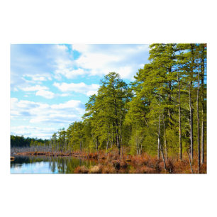 Impression Photo Pinelands du New Jersey