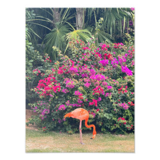Impression Photo Pink Flamingo in the Tropical Foliage