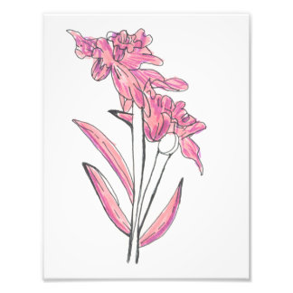 Impression Photo Pink Orchid Print