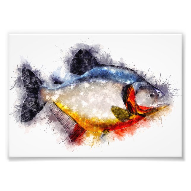 Impression Photo Piranha à ventre rouge aquarelle monstre art poiss (Devant)