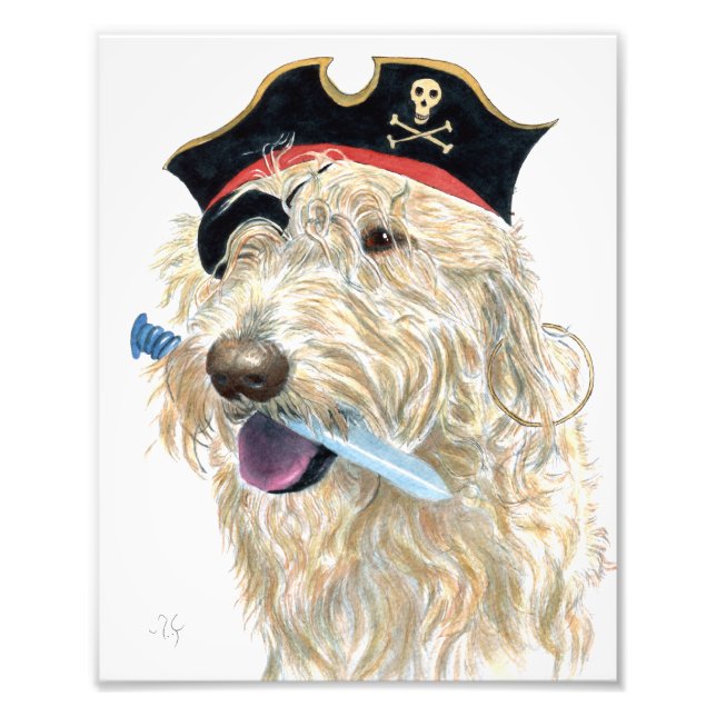 Impression Photo Pirate Cream Labradoodle (Devant)
