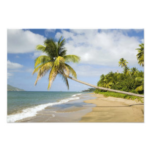 Impression Photo Plage de Coconut Grove à Cades Bay, avec St. 2