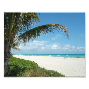 Impression Photo Plage de sable blanc avec palmier