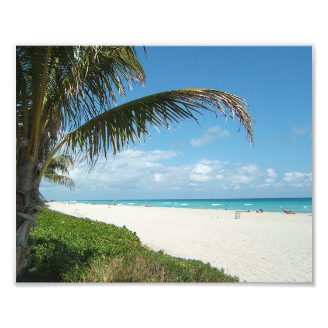 Impression Photo Plage de sable blanc avec palmier (Devant)