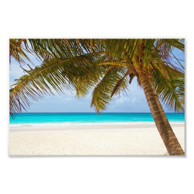 Impression Photo Plage du Paradis tropical (Devant)