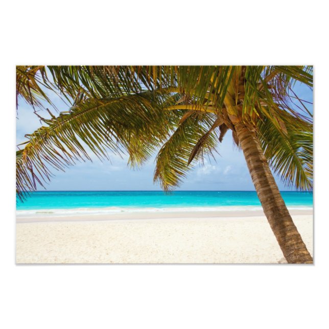 Impression Photo Plage du Paradis tropical (Devant)