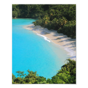 Impression Photo Plage tropicale de l'île des Caraïbes