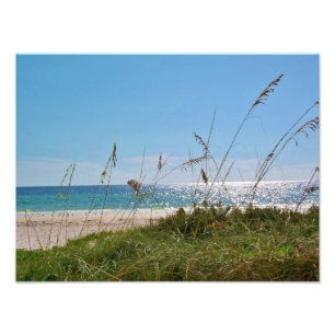 Impression Photo Plage tropicale et avoine marine
