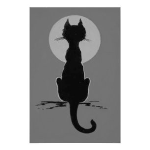 Impression Photo Pleine lune de chat noir et blanc monochrome