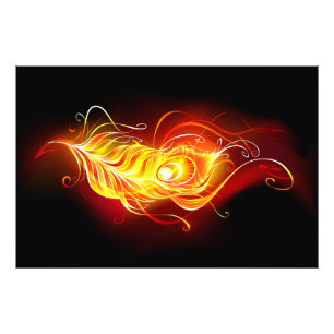 Impression Photo Plume de paon de feu
