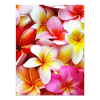 Plumeria Frangipani Hawaii Fleur Customisée