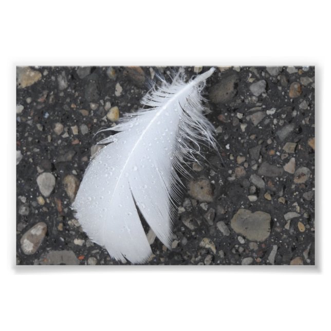Impression Photo Plumes blanches (Devant)