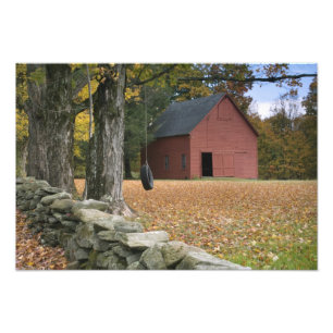 Impression Photo Pneus le long d'une route dans le sud du Vermont,
