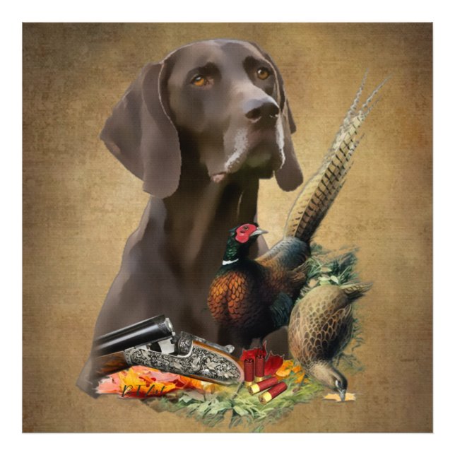 Impression Photo Pointeur Raccourci allemand GSP (Devant)