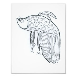 Impression Photo Poisson Combattant