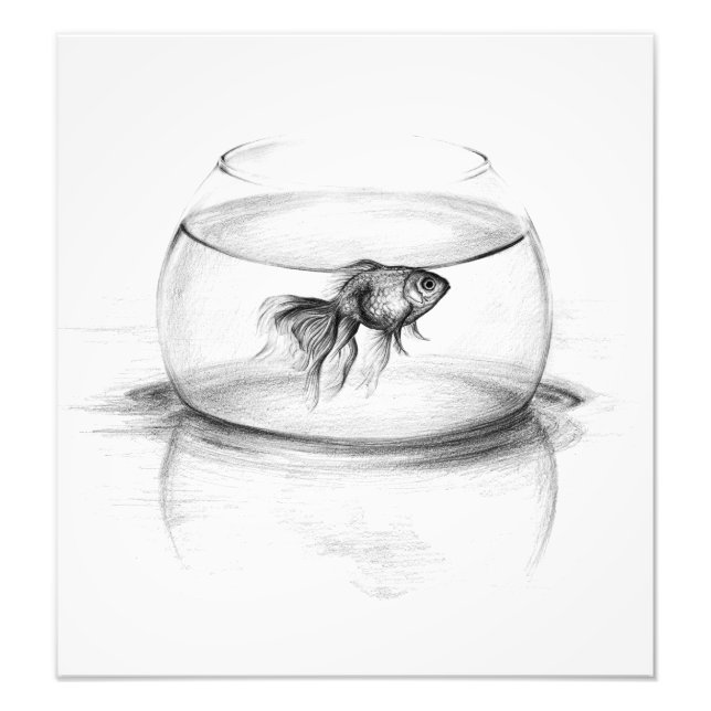 Impression Photo Poisson d'or dans le bol et l'eau (Devant)
