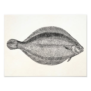 Impression Photo Pole vintage poisson poisson poisson Modèle person