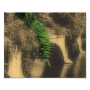 Impression Photo Pont De Fleurs Vintage Couleur Partielle 8x10