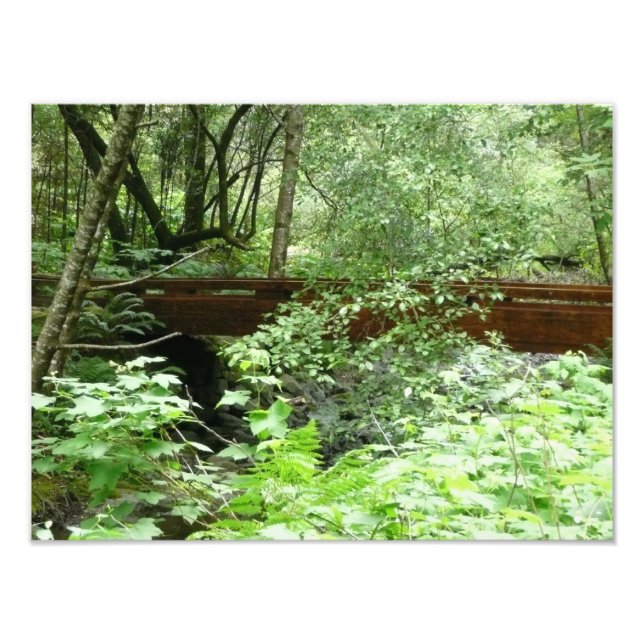 Impression Photo Pont de Muir Woods I (Devant)