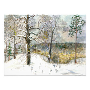 Impression Photo pont d'hiver