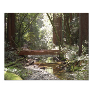 Impression Photo Pont Muir Woods II