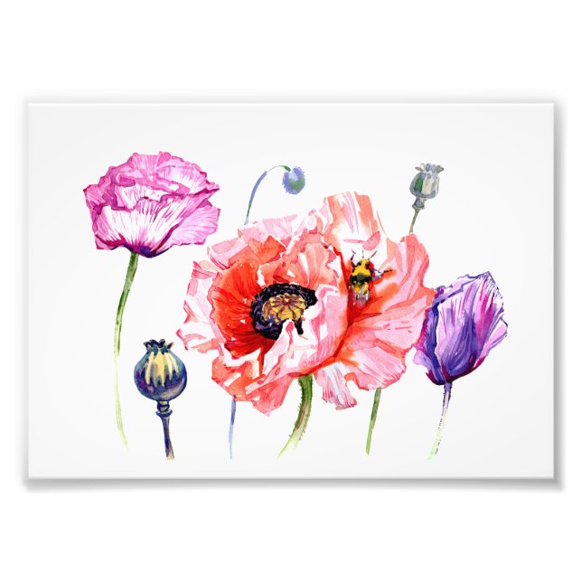 Impression Photo Poppies Fleurs de champs de pavot, Aquarelle flora (Devant)