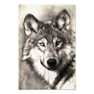 Impression Photo Portrait de loup