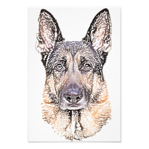 Impression Photo Portrait d'un chien berger allemand croquis couleu