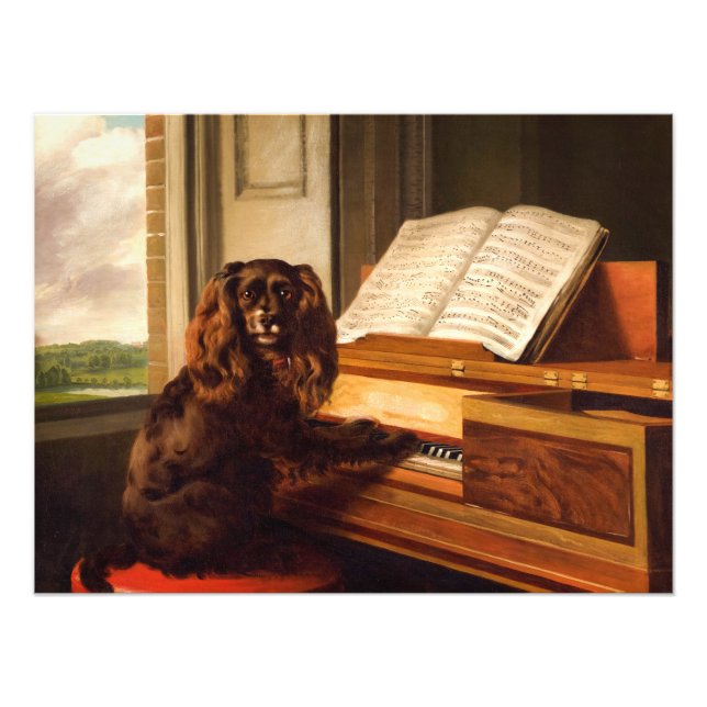 Impression Photo Portrait d'un chien de musique extraordinaire (Devant)