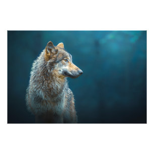 Impression Photo Portrait d'un loup gris