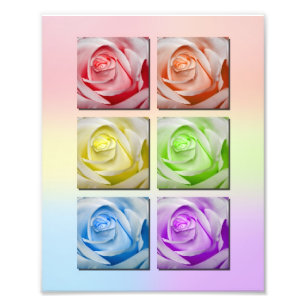 Impression Photo Portrait Rose Macro Rainbow