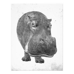 Impression Photo Poster/Imprimer en style vintage Hippopotamus !