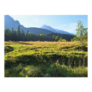 Impression Photo Prairie de montagne verte – Nature sauvage Roumani