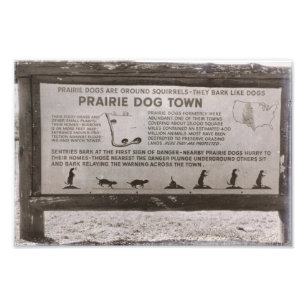 Impression Photo Prairie Dog Town South Dakota Wind Cave Retro