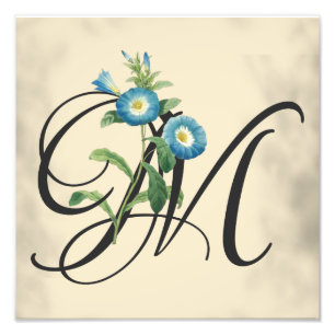 Impression Photo Premier M, Vintage Morning Glory Imprimer