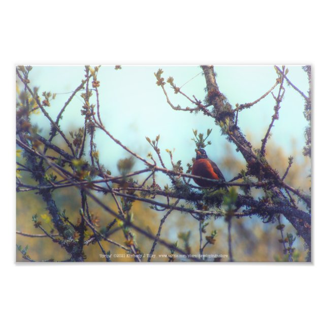 Impression Photo Printemps (Devant)