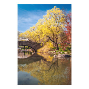 Impression Photo Printemps doré
