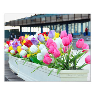 Impression Photo Printemps en avant