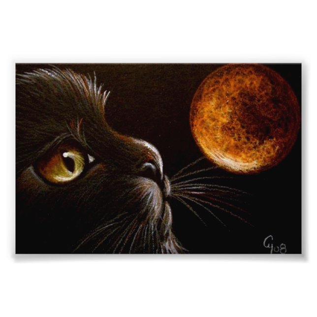 IMPRESSION PHOTO PROFIL CAT NOIR ORANGE MOON HALLOWEEN NUIT (Devant)