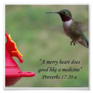 Impression Photo Proverbes des colibris 17:20 Bible Verse Photograp