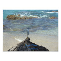 Puerto Vallarta Mexique-Garza Blanca