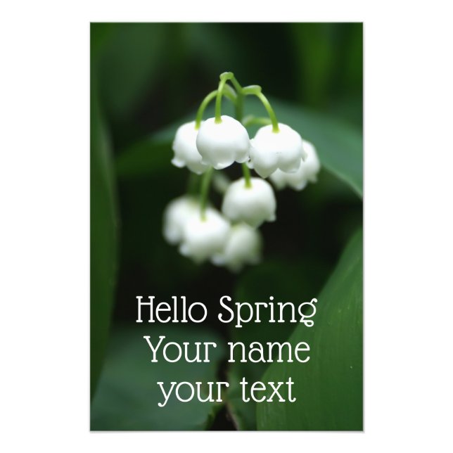 Impression Photo Puissent des lis blancs (Devant)