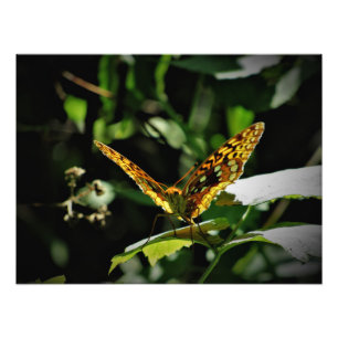 Impression Photo "Pulsing Joy"