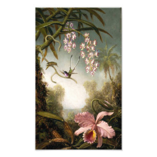 Impression Photo Pulvériser les orchidées avec les colibris