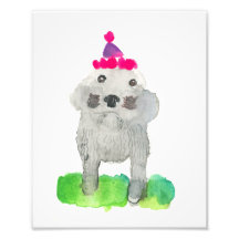 Pup d'anniversaire