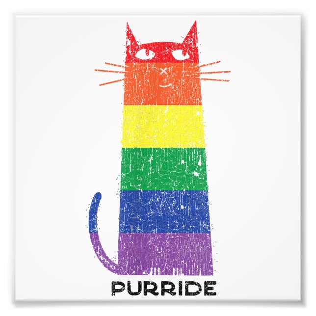 Impression Photo Purride Shirt LGBT Drôle Gay pride Chat Saying Gra (Devant)